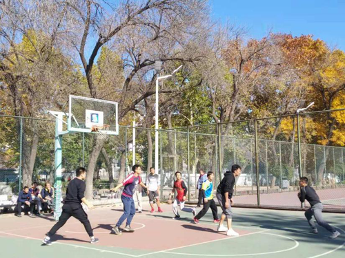 图片1 图片1